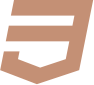 CCS icon